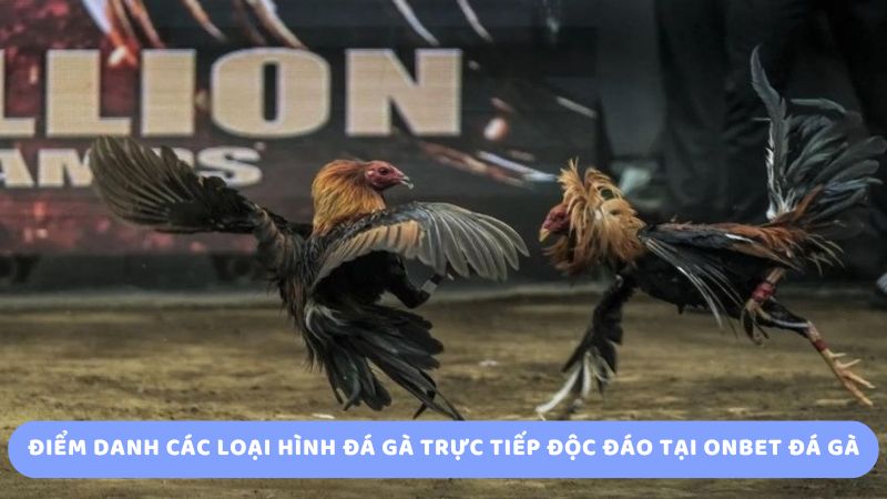 Điểm danh các loại hình đá gà trực tiếp độc đáo tại onbet đá gà